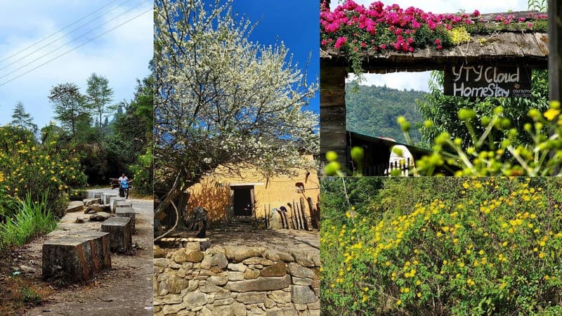 Homestay ở Y Tý