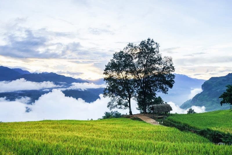 Công viên Choản Thèn Y Tý Lào Cai