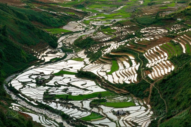 đèo khau phạ mù cang chải mùa nước đổ
