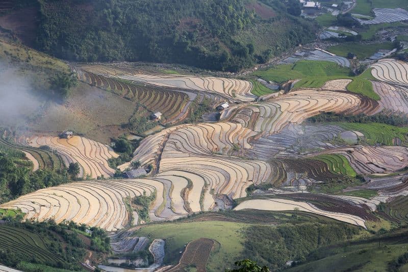 mù cang chải mùa nước đổ