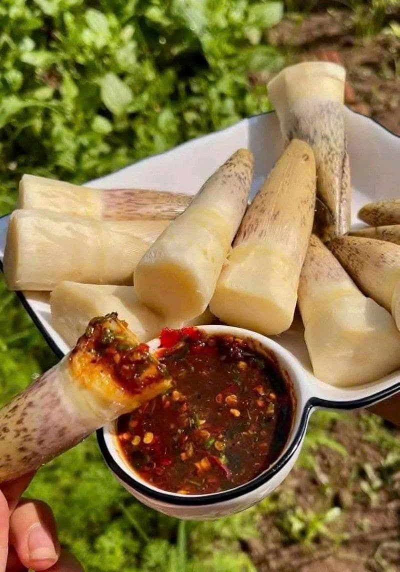 măng chấm chấm chéo