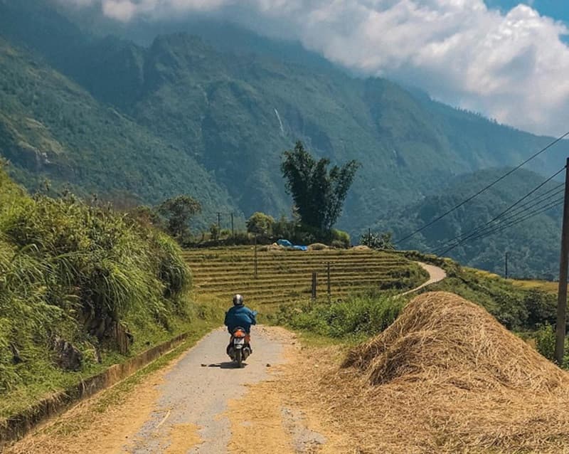 hướng dẫn di chuyển