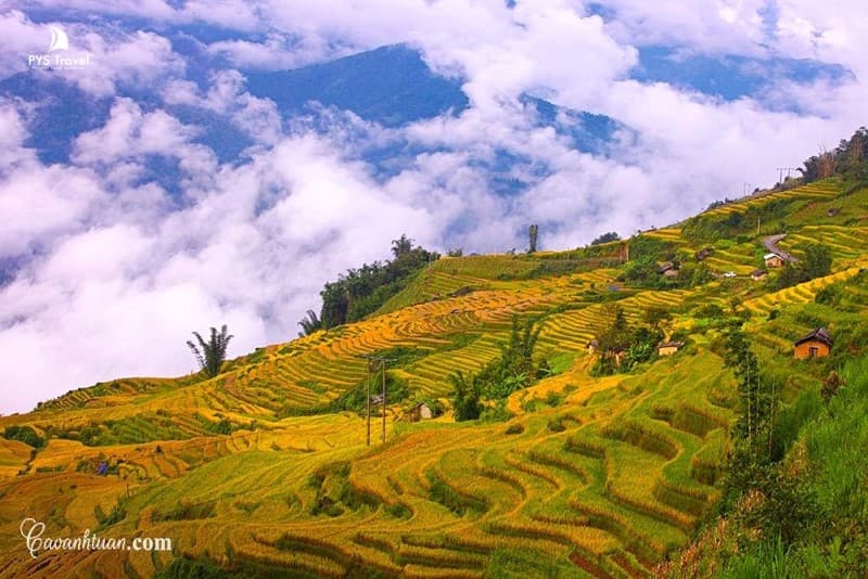Săn mây Y Tý