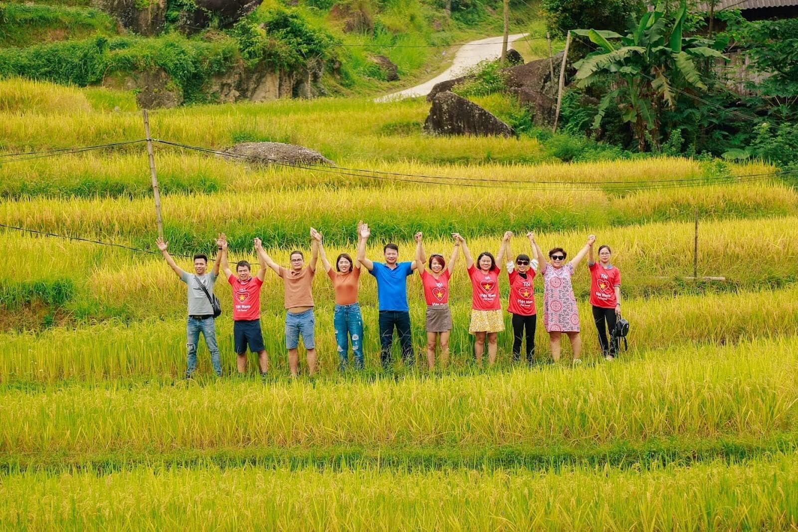 Ruộng Bậc Thang Thông Nguyên Hoàng Su Phì