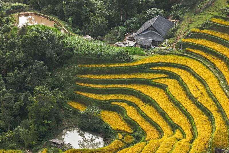 Tour Hoàng Su Phì PYS Travel