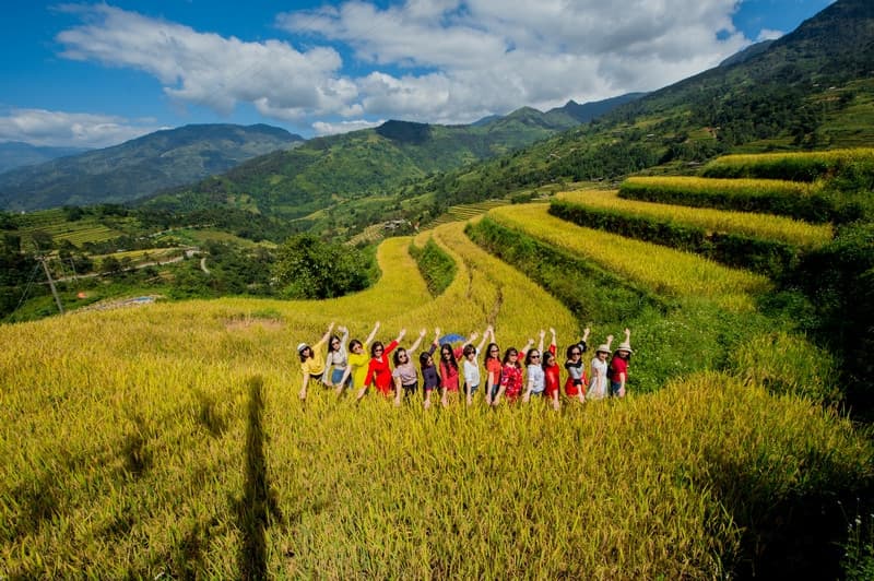 Nậm Ty mùa lúa vàng