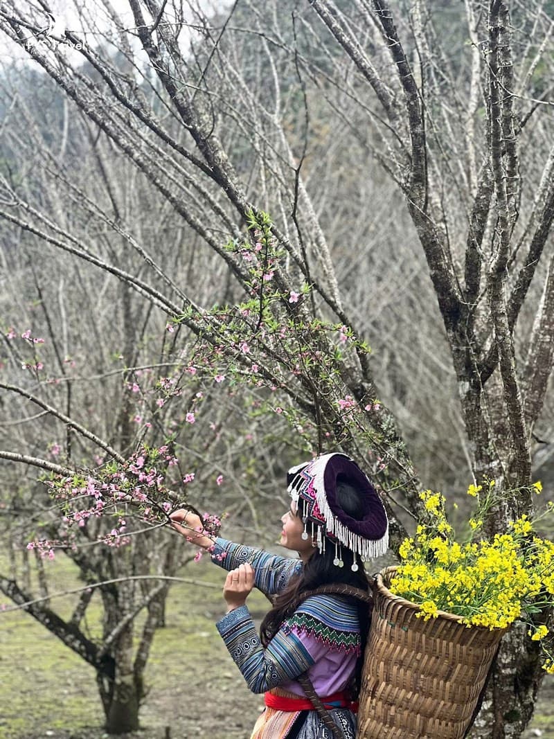 mùa đông bắc hà