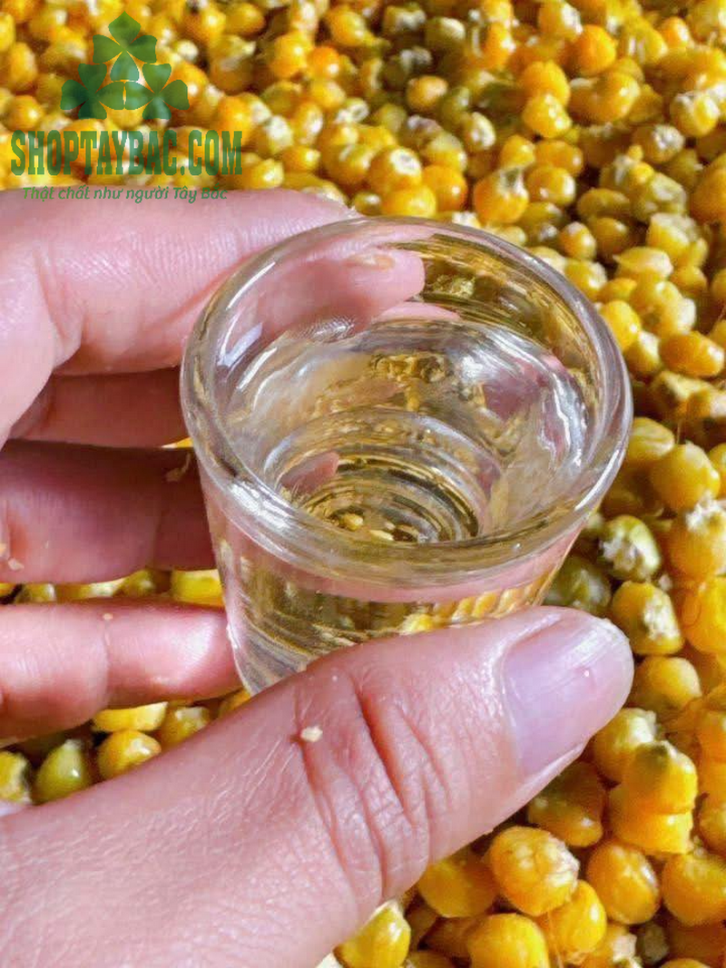 Rượu ngô Y Tý