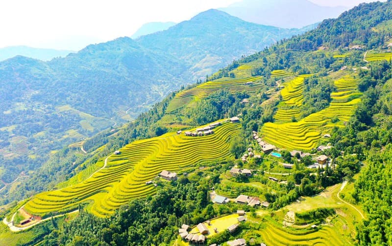 Ruộng bậc thang