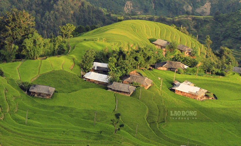 bản phùng hoàng su phì