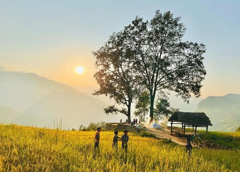 mùa vàng đặc trưng