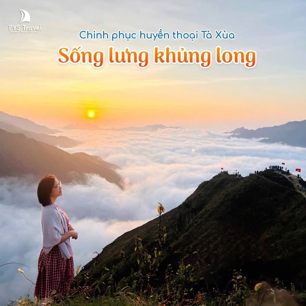 Sống lưng khủng long tà xùa