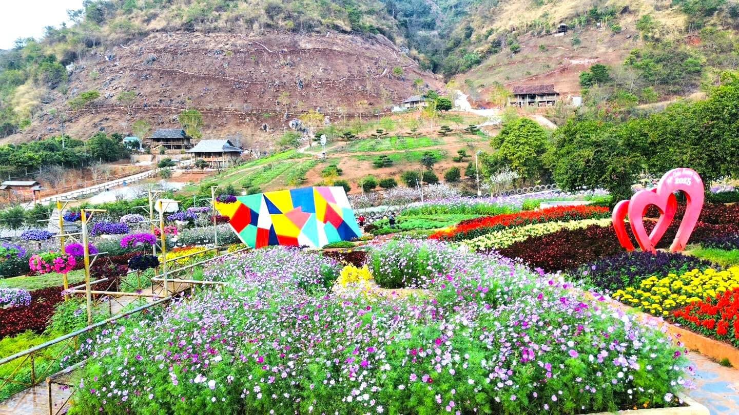 tham quan happy land