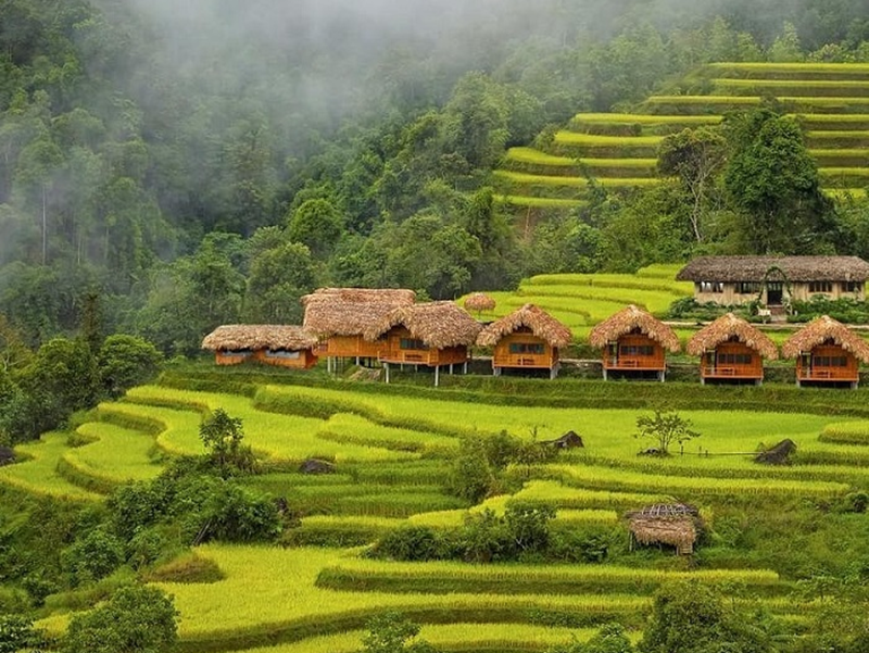 homestay giữa ruộng bậc thang