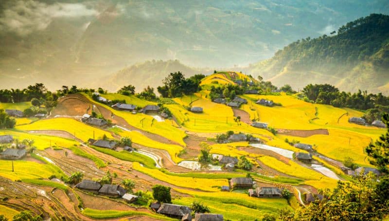 ruộng bậc thang