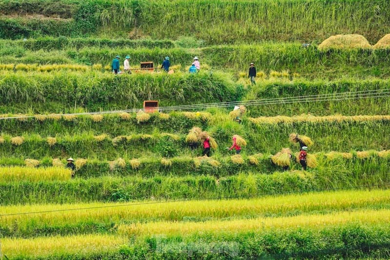 cuộc sống bình dị