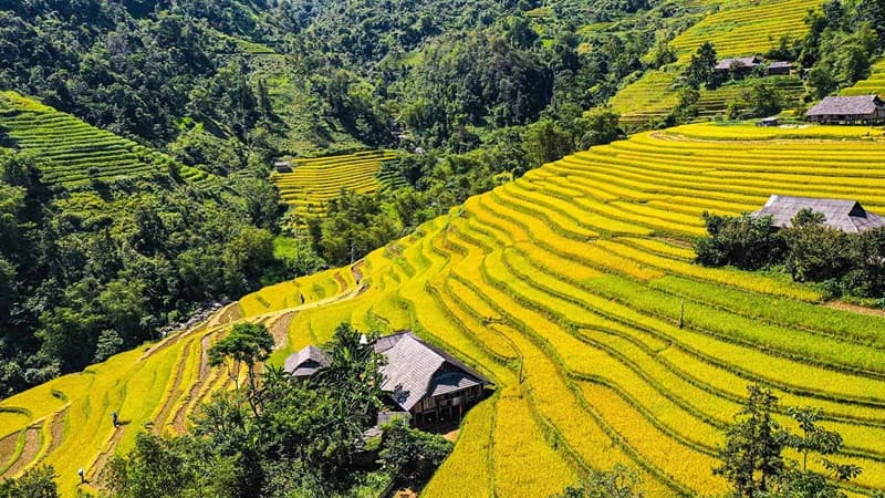 bản luốc hoàng su phì