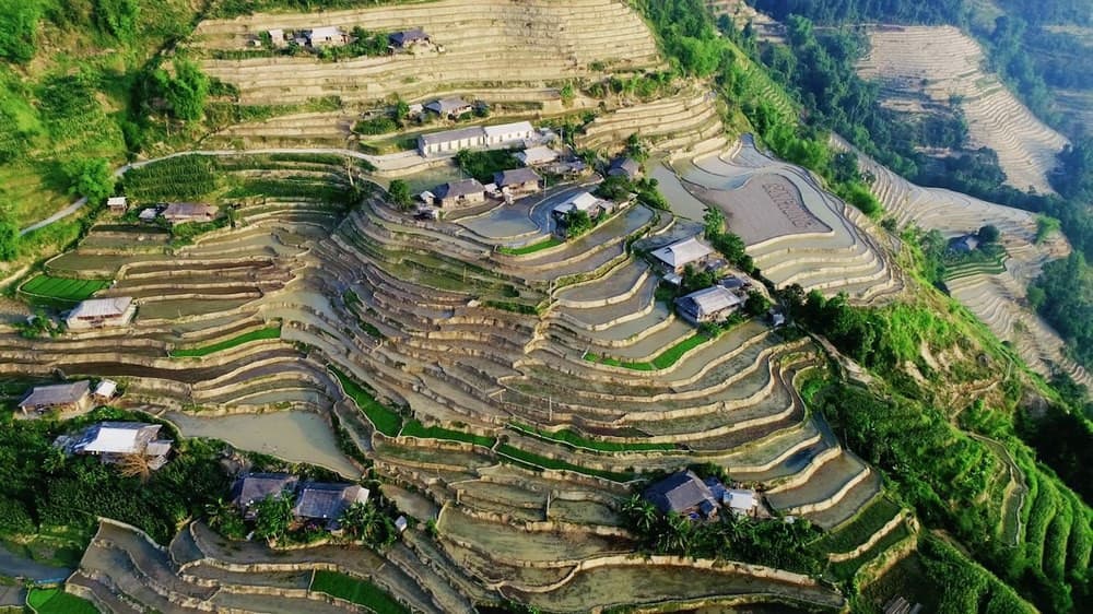 Ruộng bậc thang Bản Phùng
