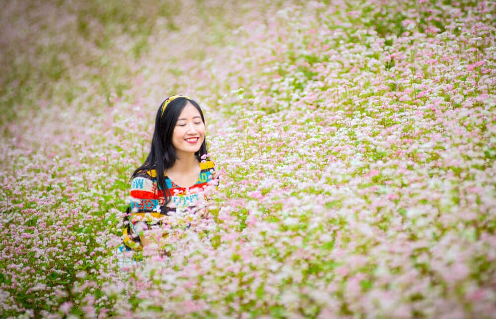 ghé thăm Hoàng Su Phì