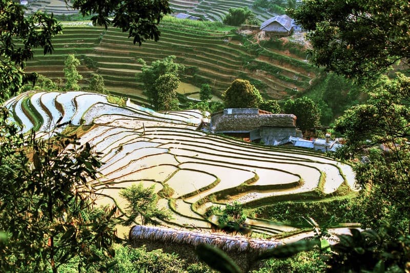 Bản Liền Bắc Hà