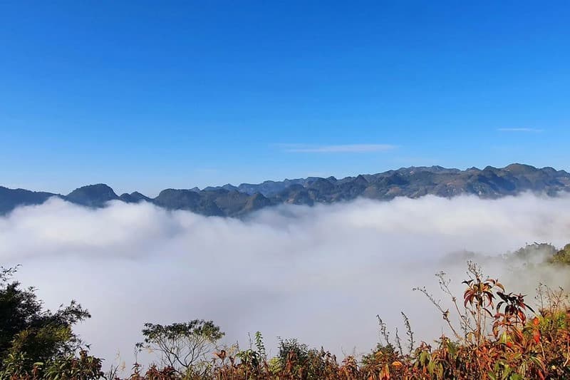 Săn mây Bắc Hà Lào Cai