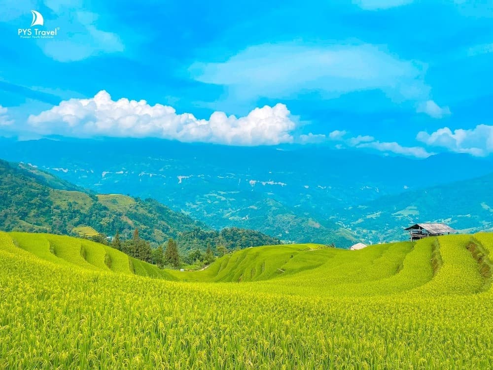 Địa điểm ngắn trọn vẻ đẹp ruộng bậc thang Hoàng Su Phì