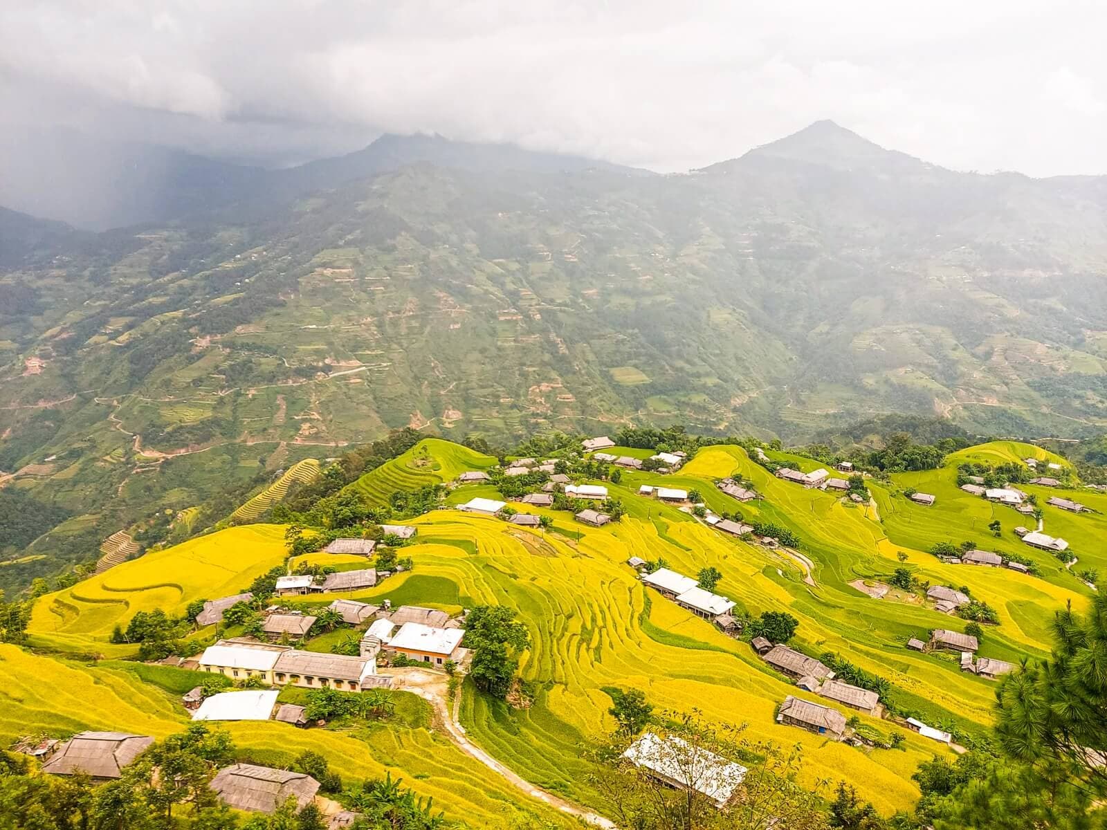 Nên đi Hoàng Su Phì mùa nào