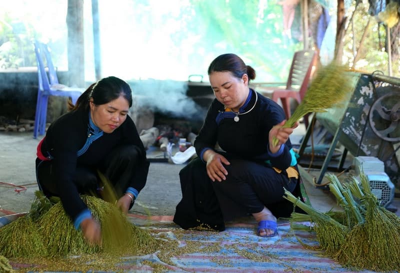 làm cốm bắc hà