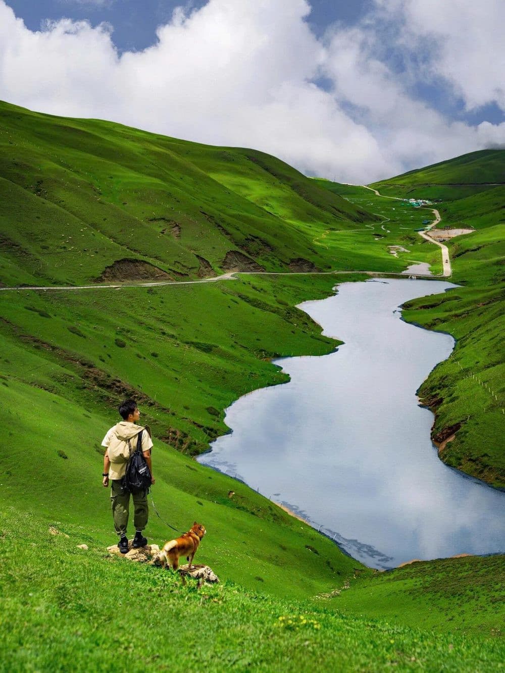 đại hải thảo sơn