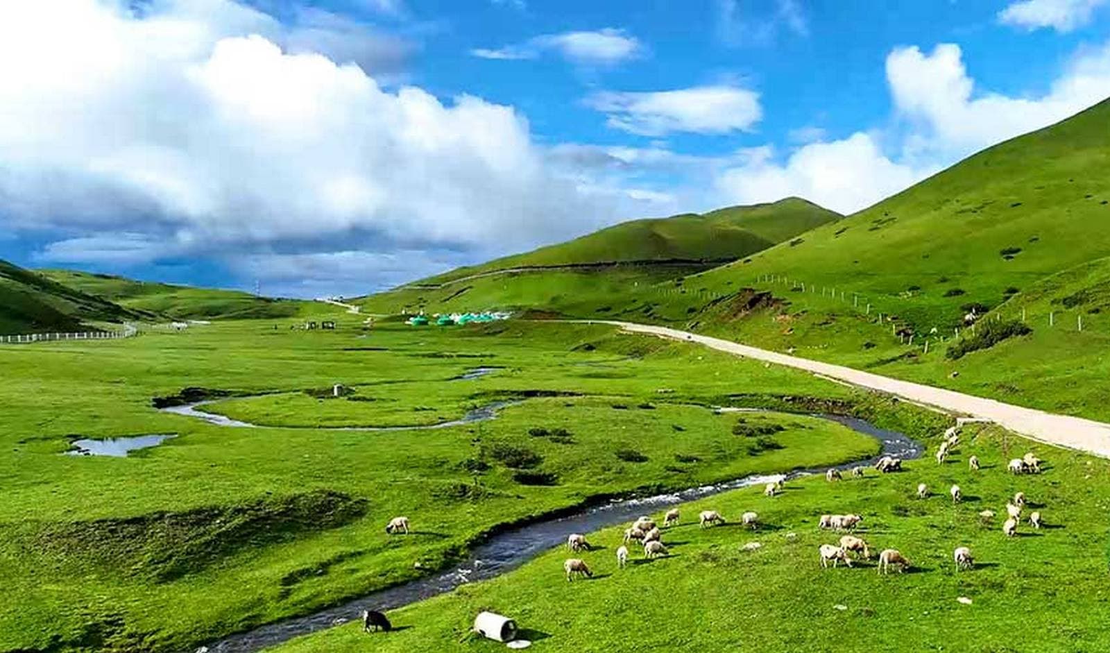 Đại Hải Thảo Sơn