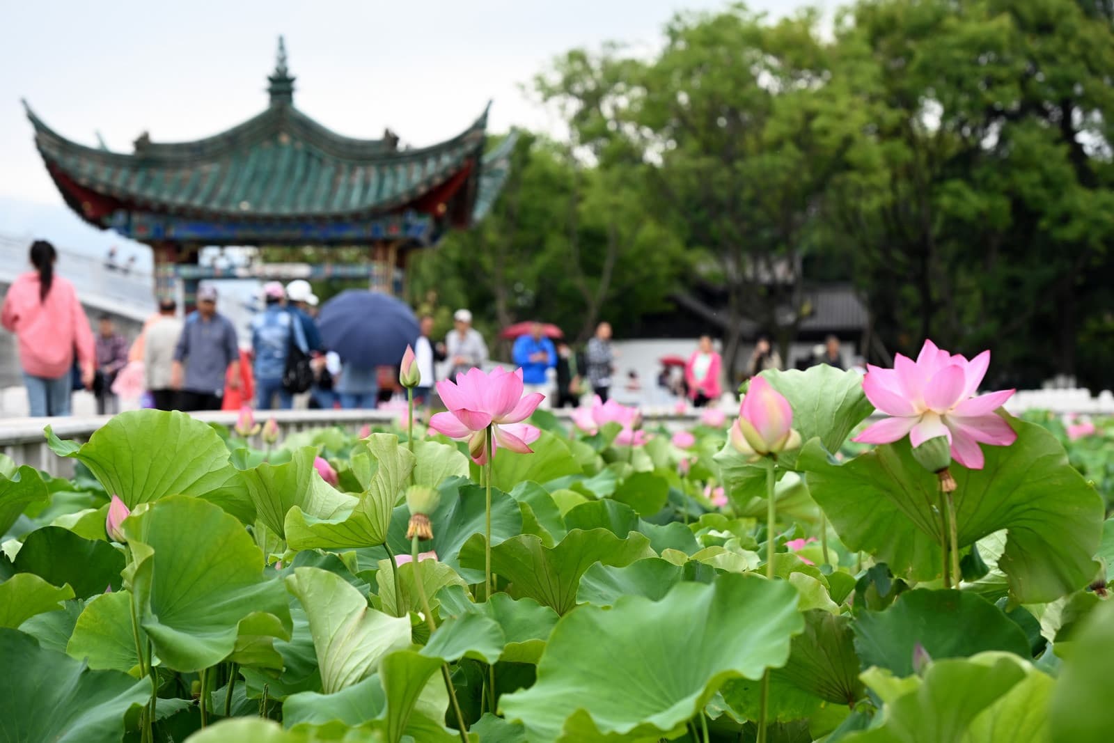 Công viên Đại Quan Lầu