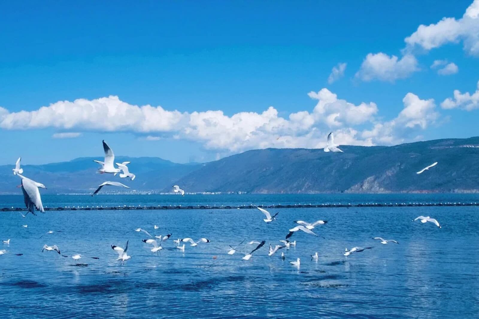 Điền Trì Hậu hải