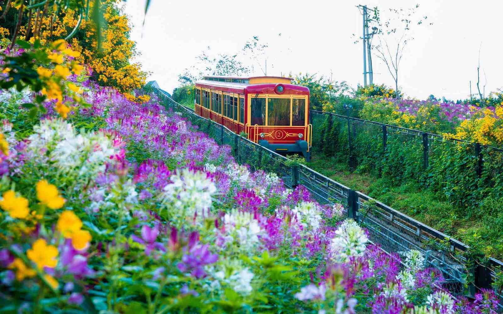 tour sjourney luxury train, tour tàu hỏa 5 sao Sapa