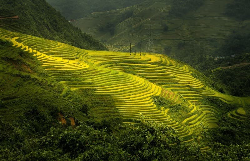 Tháng 9 hay còn gọi là mùa vàng của Sapa