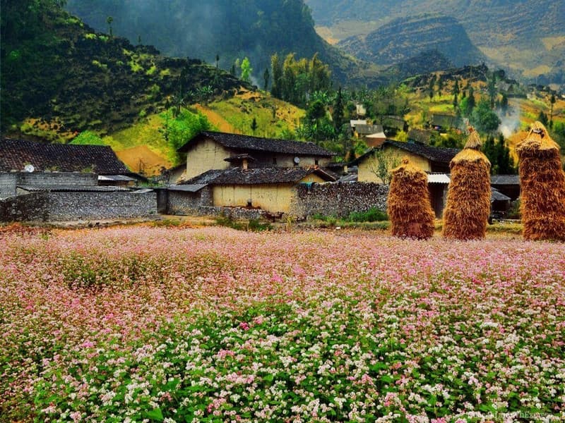 làng văn hóa du lịch lũng cẩm