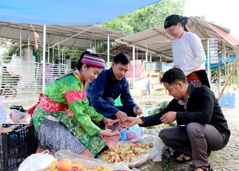 Nông sản tươi ngon theo mùa