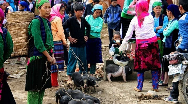 Khu gia súc - gia cầm