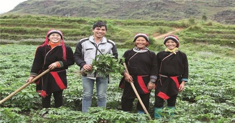 bản sắc văn hóa người dao