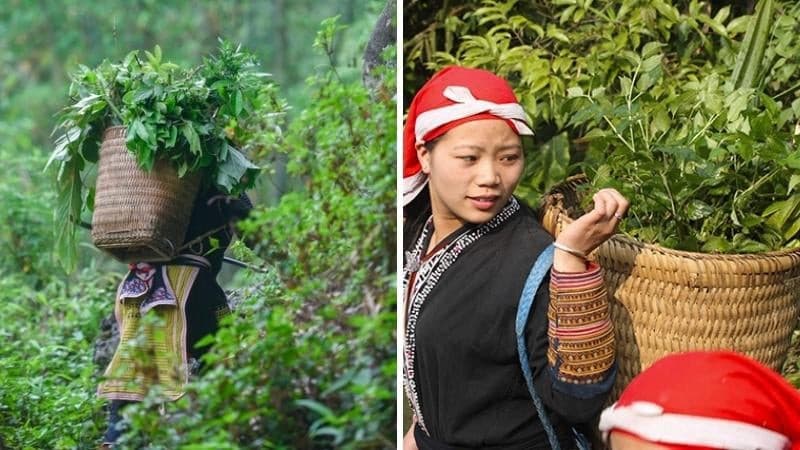 tắm lá thuốc nặm đăm