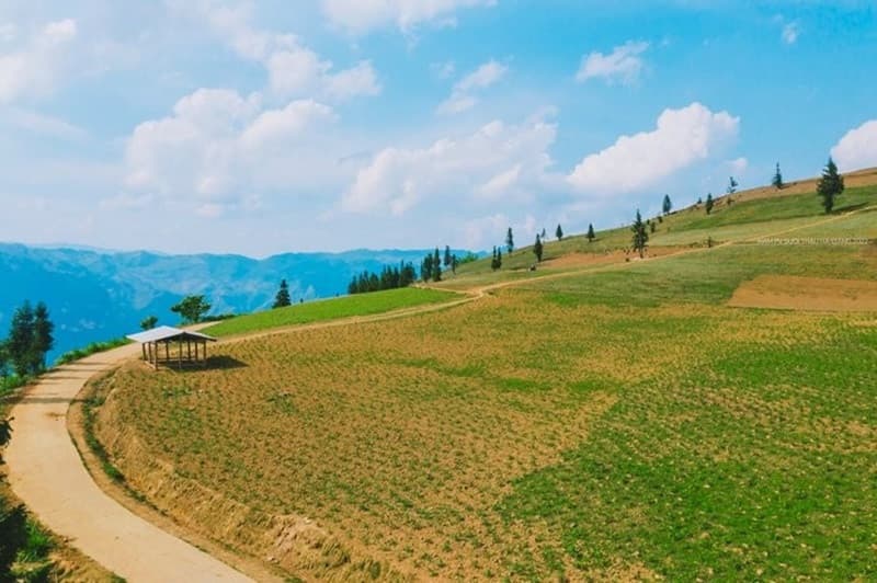 thời điểm lý tưởng