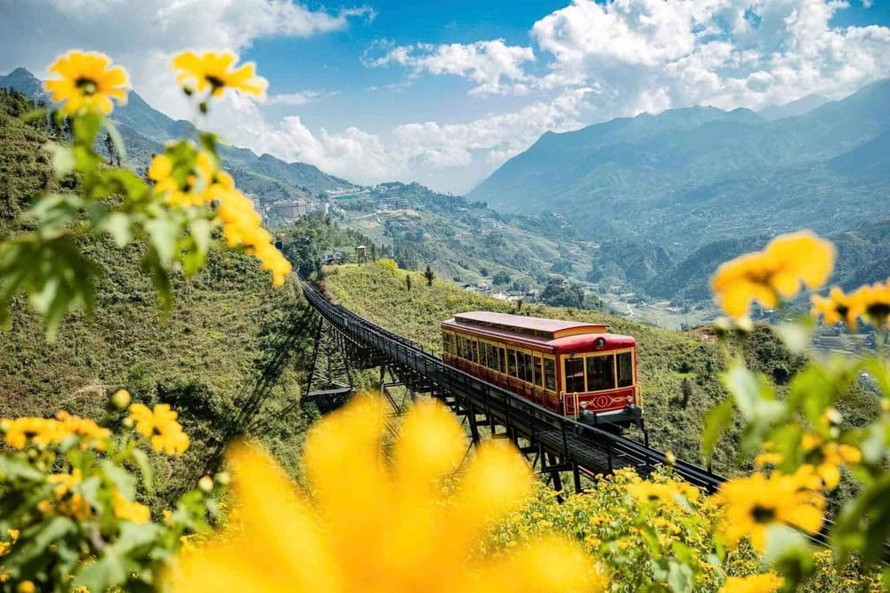 Hành trình chậm rãi để tận hưởng nhiều hơn