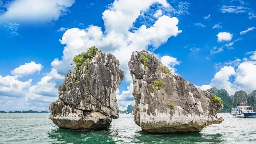 Hòn Gà Chọi - Biểu tượng của Vịnh di sản Hạ Long