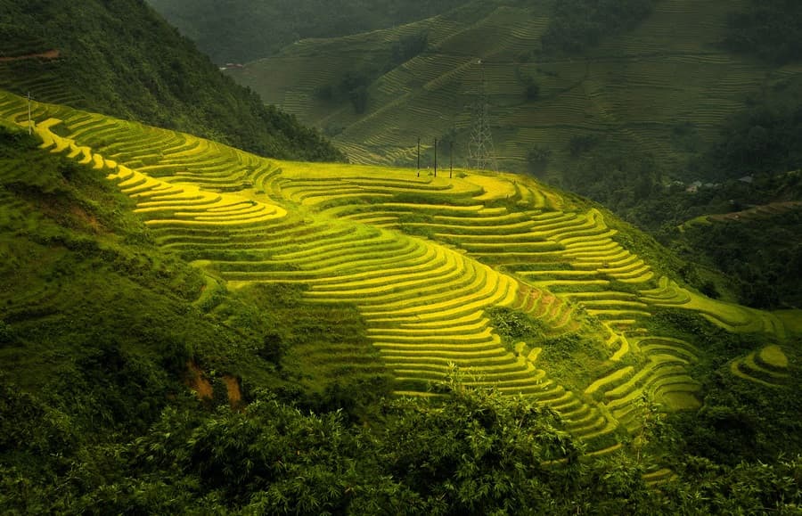 Ruộng bậc tháng sapa tháng 10
