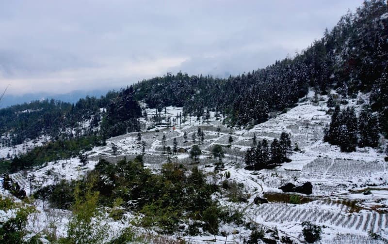 thời tiết sapa tháng 12