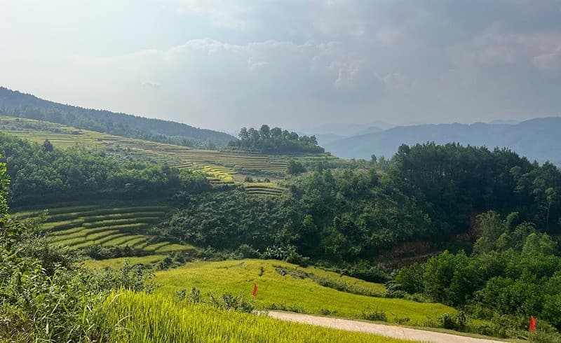 ruộng bậc thang ở bình liêu