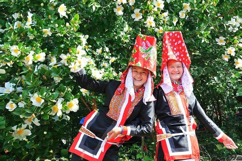 Lễ hội hoa sở bình liêu tháng 11