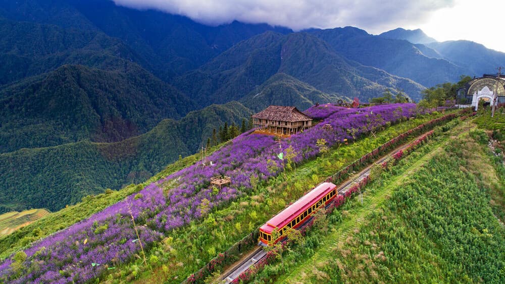 thung lũng mường hoa tháng 2