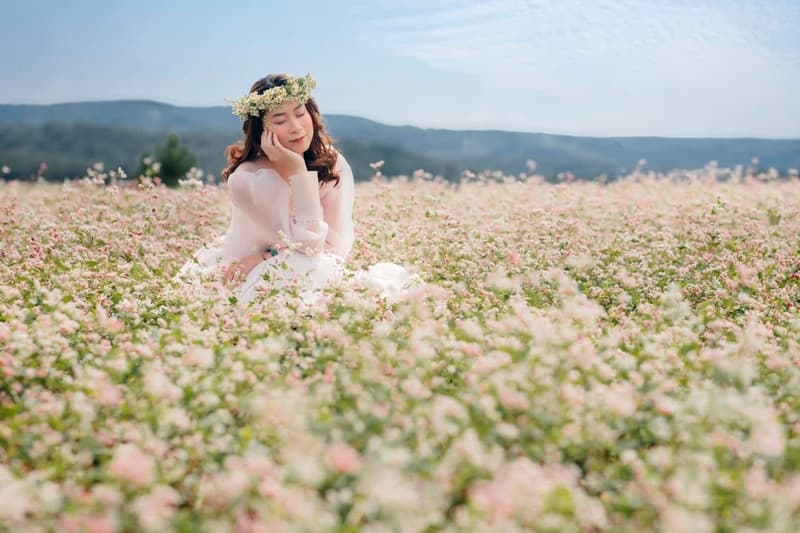 hoa tam giác mạch đà lạt