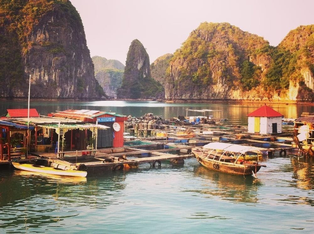 Không thể bỏ lỡ địa điểm tham quan làng chài Hạ Long