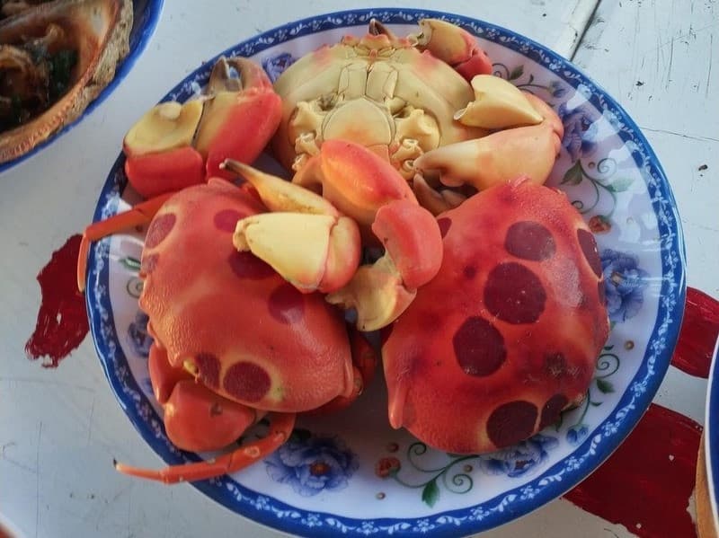 côn đảo tháng 11 thưởng thức cua mặt trăng